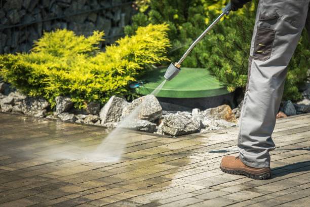 Best Pre-Holiday Cleaning  in Roseland, OH